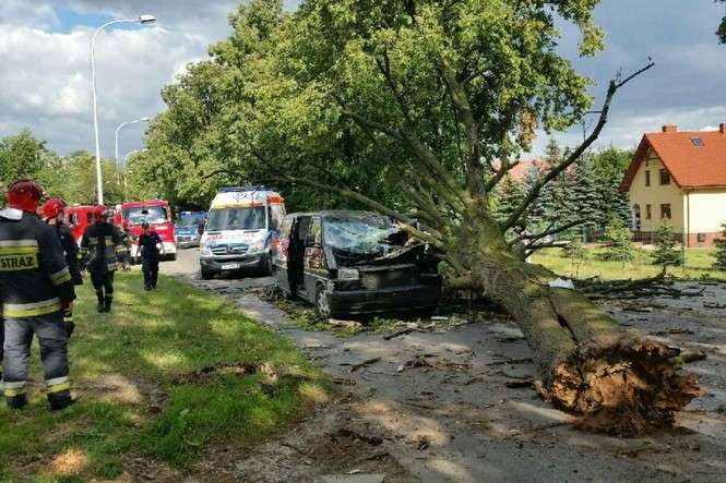 Drzewo spadło na samochód na ul. Nałęczowskiej - Autor: KM PSP w Lublinie