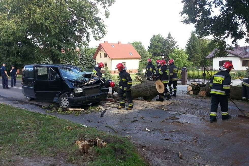  Drzewo spadło na samochód na ul. Nałęczowskiej (zdjęcie 20) - Autor: Łukasz Minkiewicz
