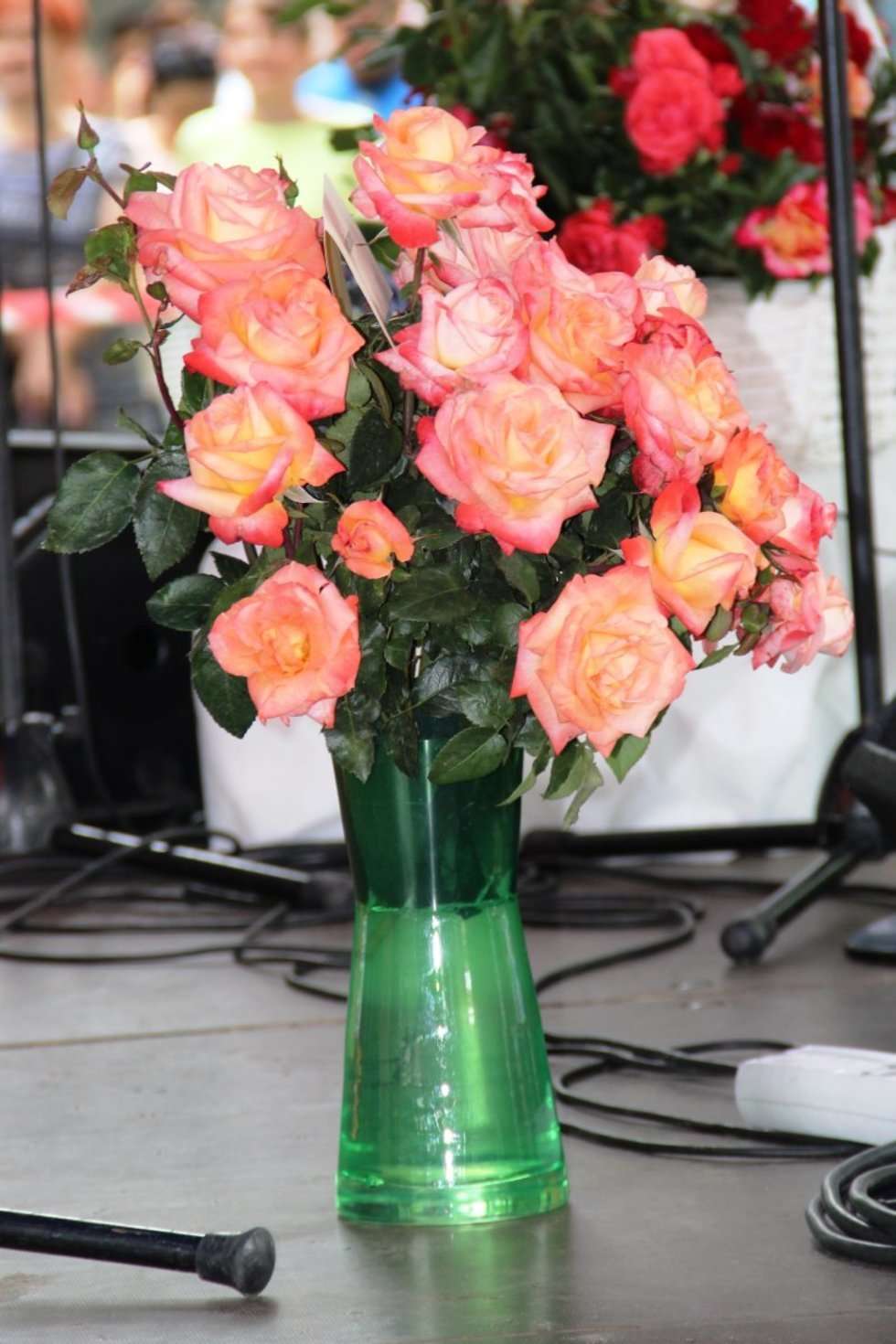  Święto Róż w Końskowoli (zdjęcie 5) - Autor: UG Końskowola