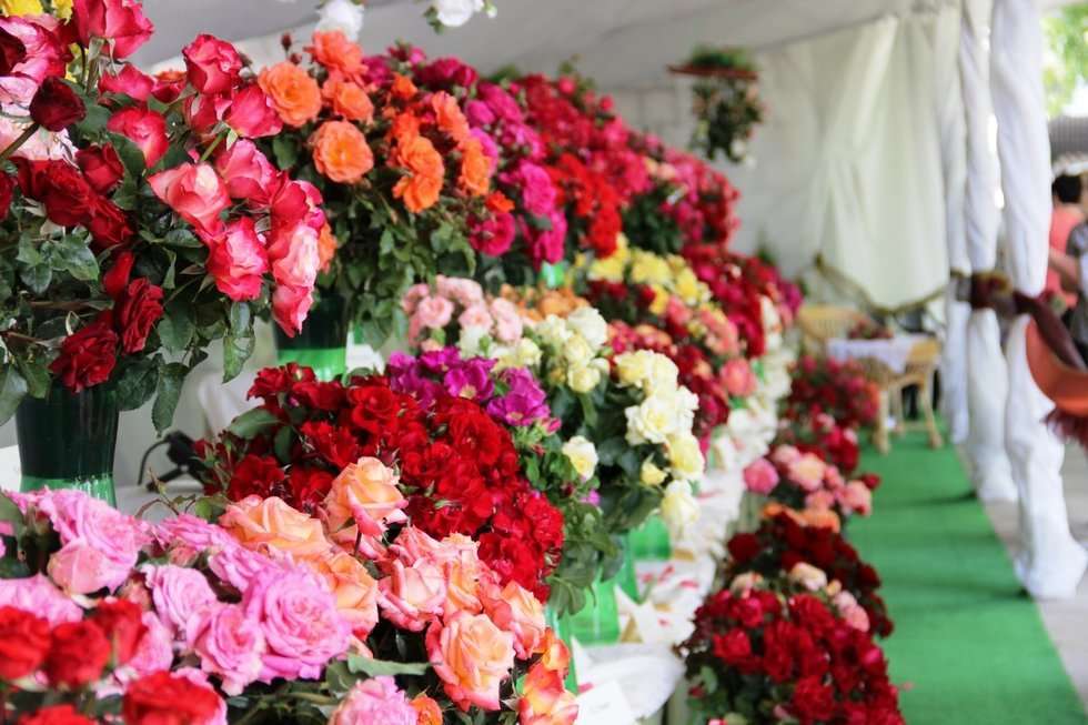  Święto Róż w Końskowoli (zdjęcie 4) - Autor: UG Końskowola