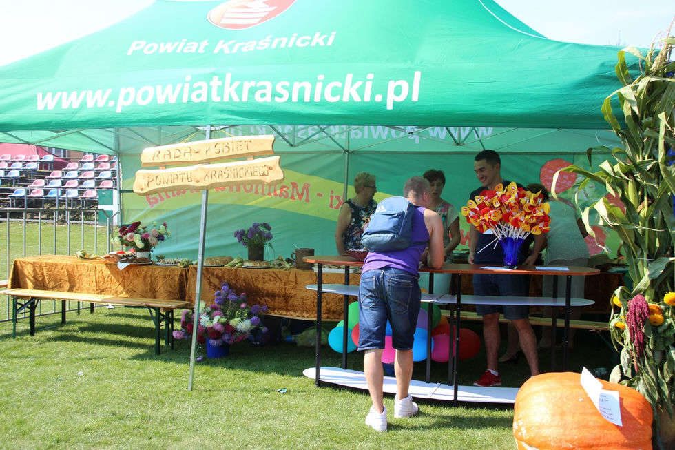 Dożynki Powiatu Kraśnickiego w Zakrzówku (zdjęcie 5) - Autor: Paulina Albin/Starostwo Powiatowe w Kraśniku