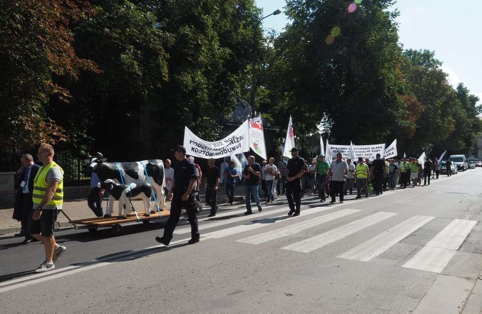  Protest producentów mleka (zdjęcie 16) - Autor: Wojciech Nieśpiałowski
