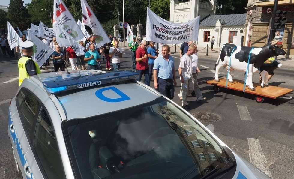  Protest producentów mleka (zdjęcie 15) - Autor: Wojciech Nieśpiałowski