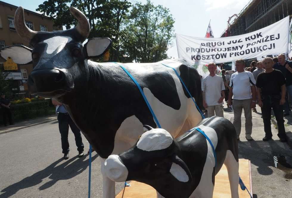  Protest producentów mleka (zdjęcie 14) - Autor: Wojciech Nieśpiałowski