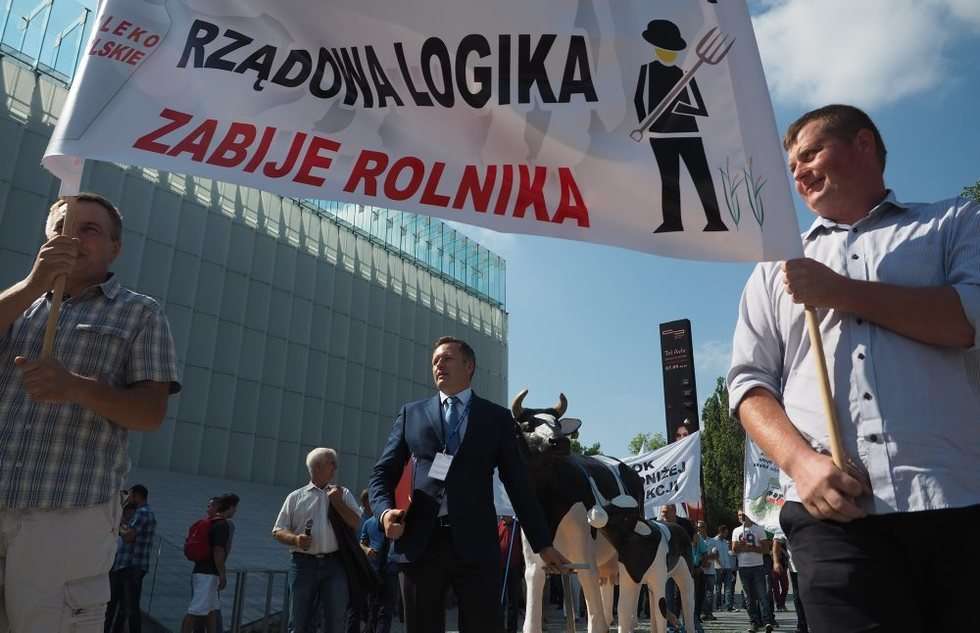  Protest producentów mleka (zdjęcie 23) - Autor: Wojciech Nieśpiałowski