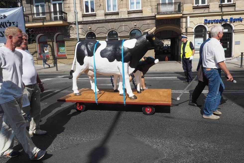  Protest producentów mleka (zdjęcie 21) - Autor: Wojciech Nieśpiałowski