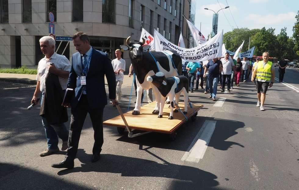  Protest producentów mleka (zdjęcie 26) - Autor: Wojciech Nieśpiałowski