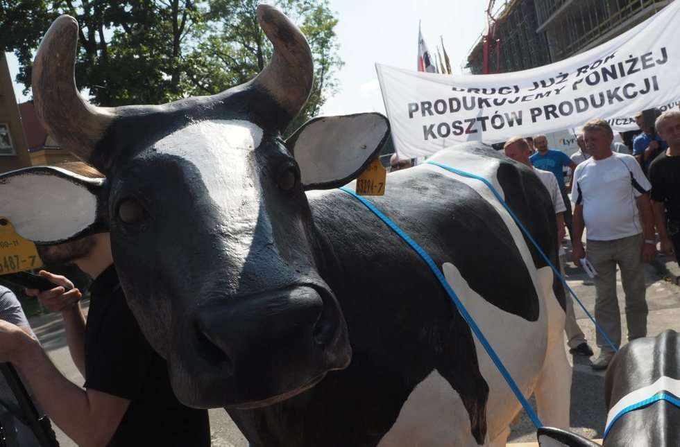  Protest producentów mleka (zdjęcie 13) - Autor: Wojciech Nieśpiałowski