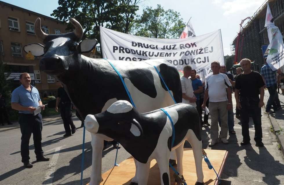  Protest producentów mleka (zdjęcie 18) - Autor: Wojciech Nieśpiałowski