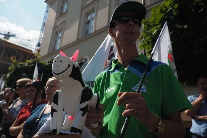 Protest producentów mleka