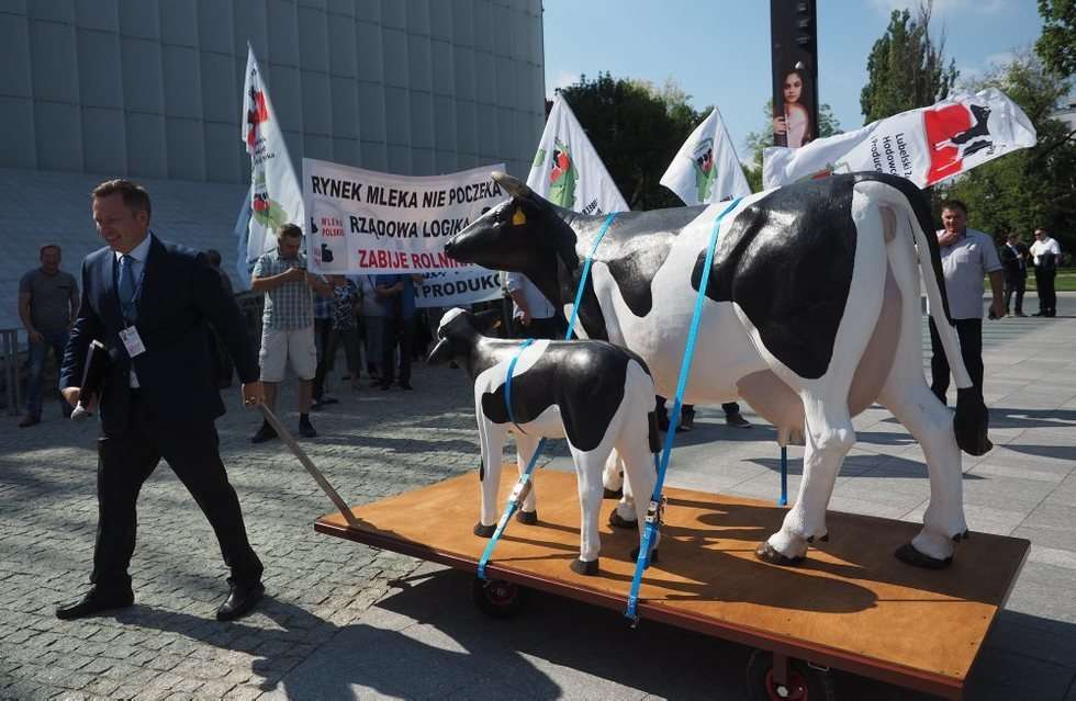  Protest producentów mleka (zdjęcie 25) - Autor: Wojciech Nieśpiałowski