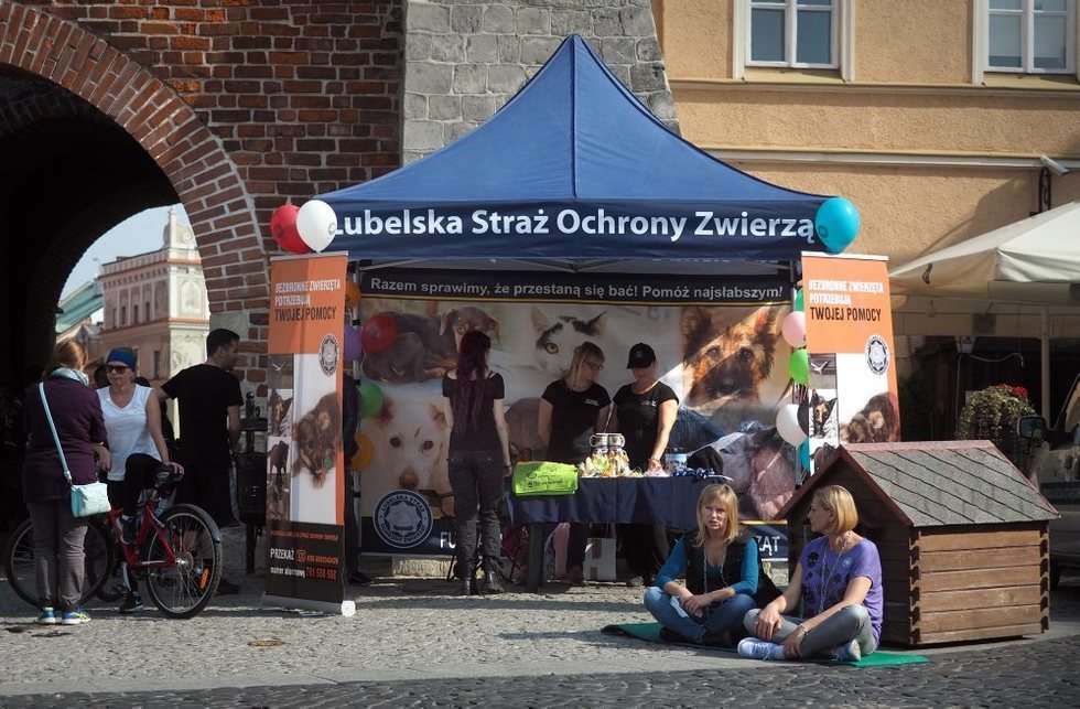  Zerwijmy Łańcuchy w Lublinie (zdjęcie 3) - Autor: Wojciech Nieśpiałowski