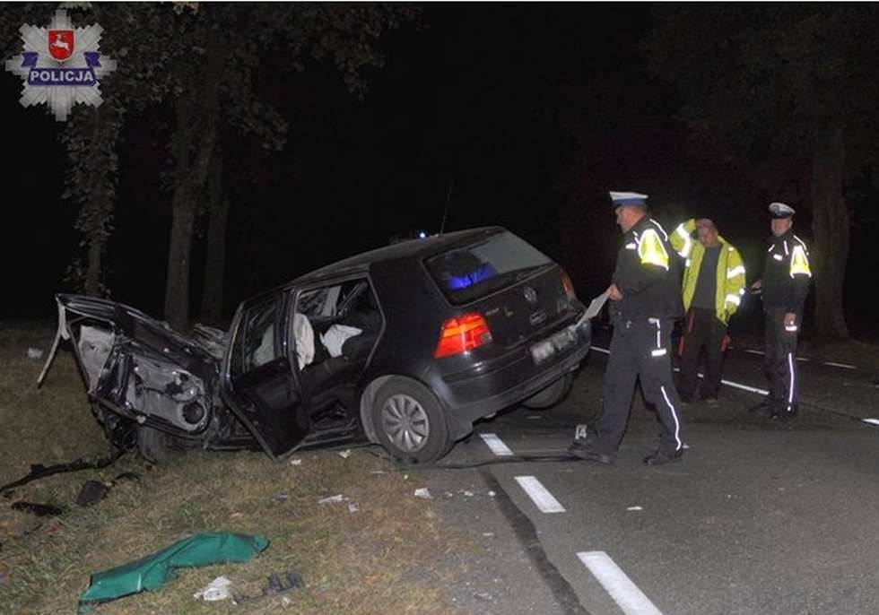  Wypadek w Polichnie  - Autor: policja