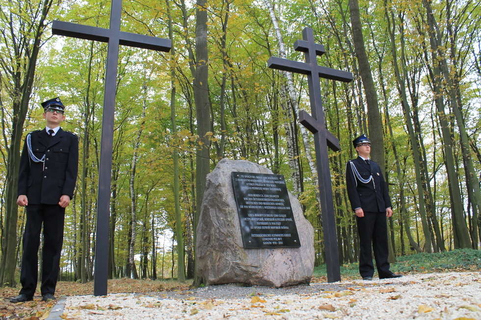  Oddali hołd poległym w Sosnowie (zdjęcie 4) - Autor: Radosław Szczęch