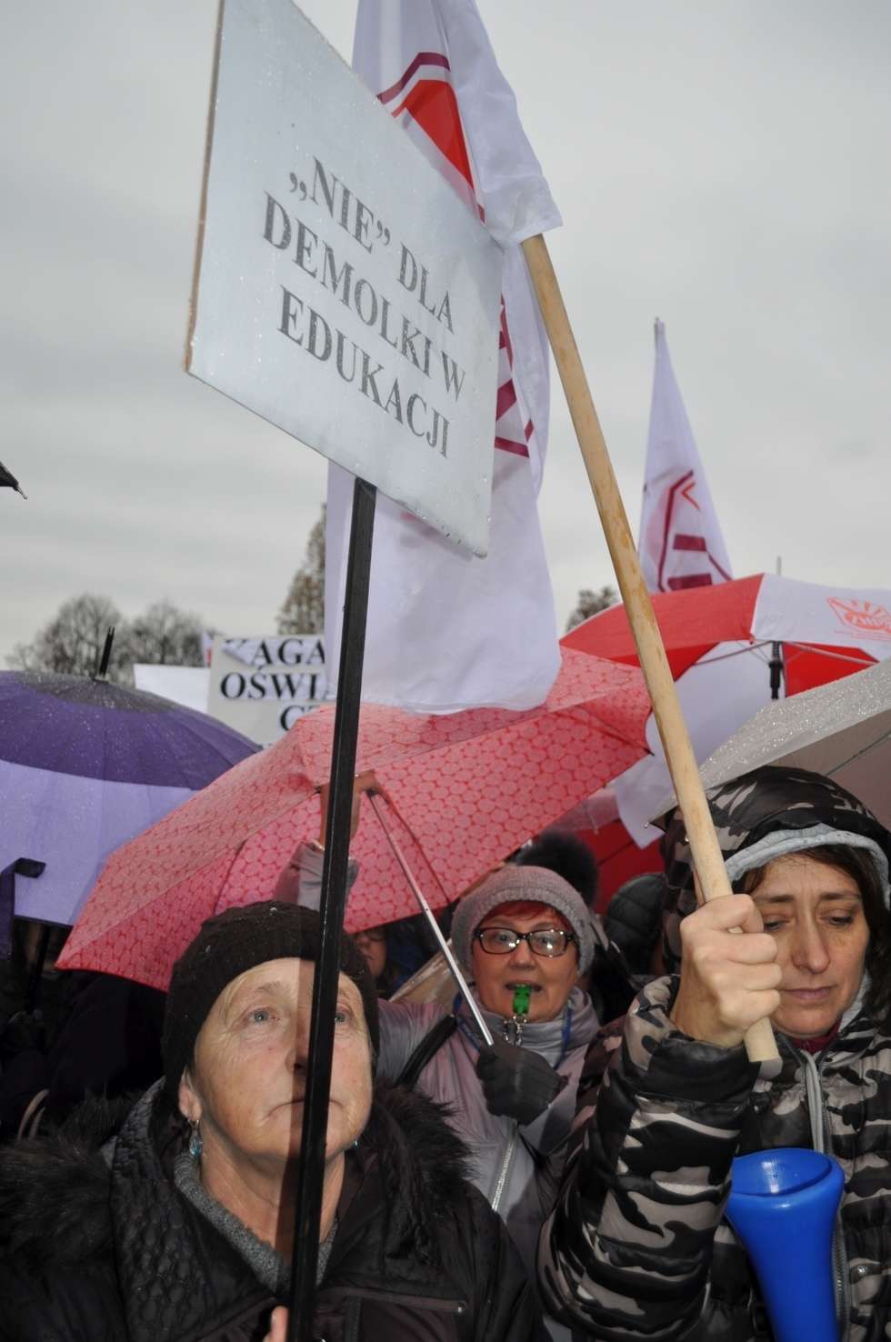  Protest nauczycieli w Warszawie (zdjęcie 12) - Autor: Agnieszka Kasperska