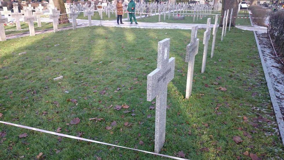  Ktoś zniszczył krzyże na cmentarzu wojennym w Lublinie (zdjęcie 3) - Autor: Łukasz Minkiewicz
