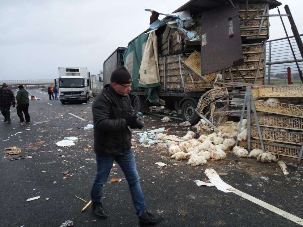  Wypadek na obwodnicy Lublina. Ciężarówka wypełniona kurczakami (zdjęcie 1) - Autor: Maciej Kaczanowski