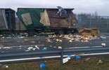 Wypadek na obwodnicy Lublina. Ciężarówka wypełniona kurczakami (zdjęcie 3)