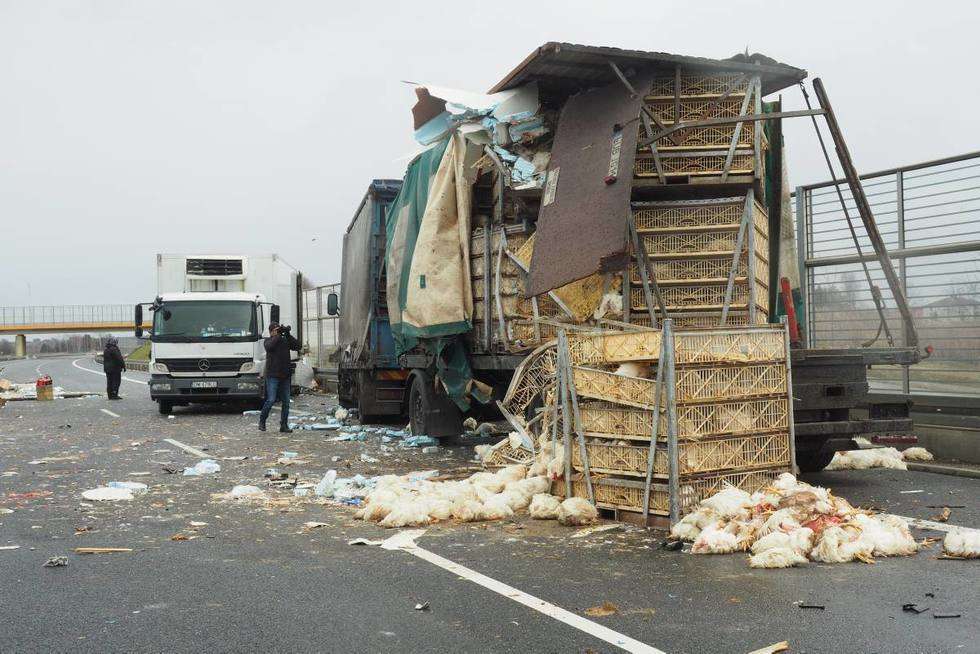  Wypadek na obwodnicy: Zderzyły się dwie ciężarówki, w jednej były kurczaki  - Autor: Maciej Kaczanowski