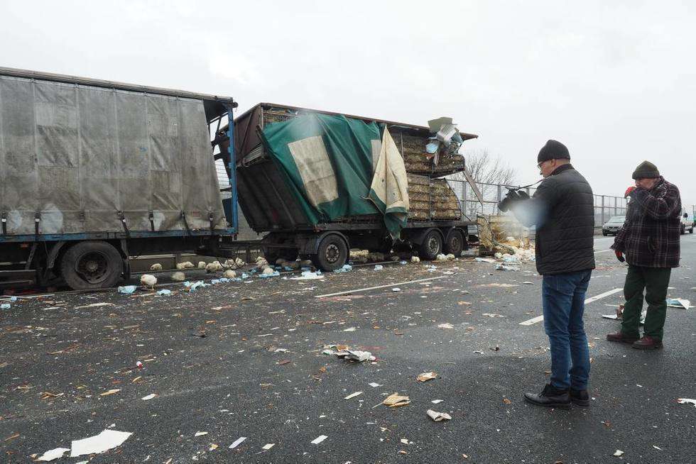  Wypadek na obwodnicy: Zderzyły się dwie ciężarówki, w jednej były kurczaki (zdjęcie 7) - Autor: Maciej Kaczanowski