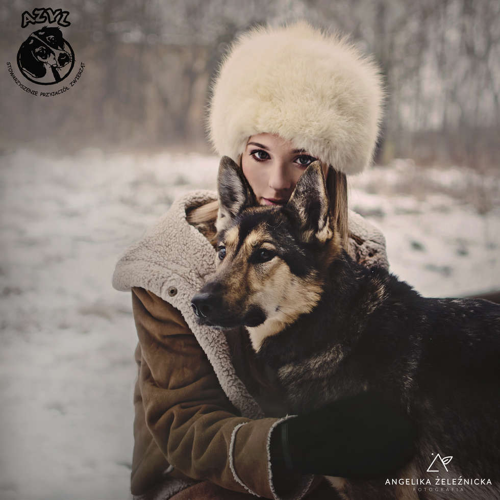  Kalendarz i sesja ze schroniskowymi psami (zdjęcie 2) - Autor: Angelika Żeleźnicka