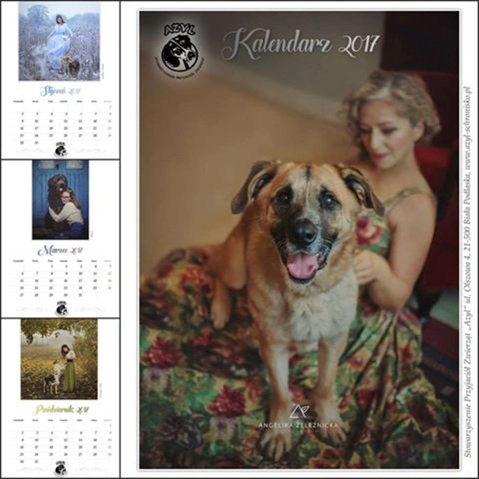  Kalendarz i sesja ze schroniskowymi psami (zdjęcie 11) - Autor: Angelika Żeleźnicka