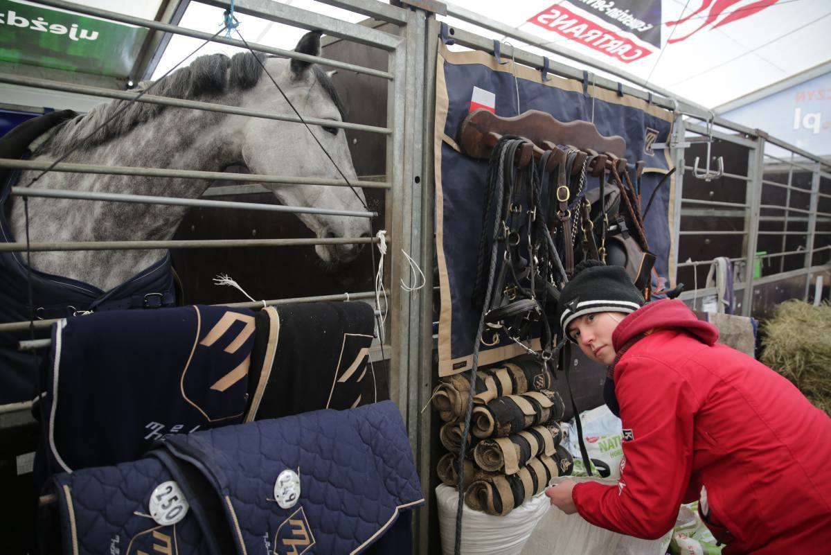 Rozpoczęła się CAVALIADA Lublin 2017