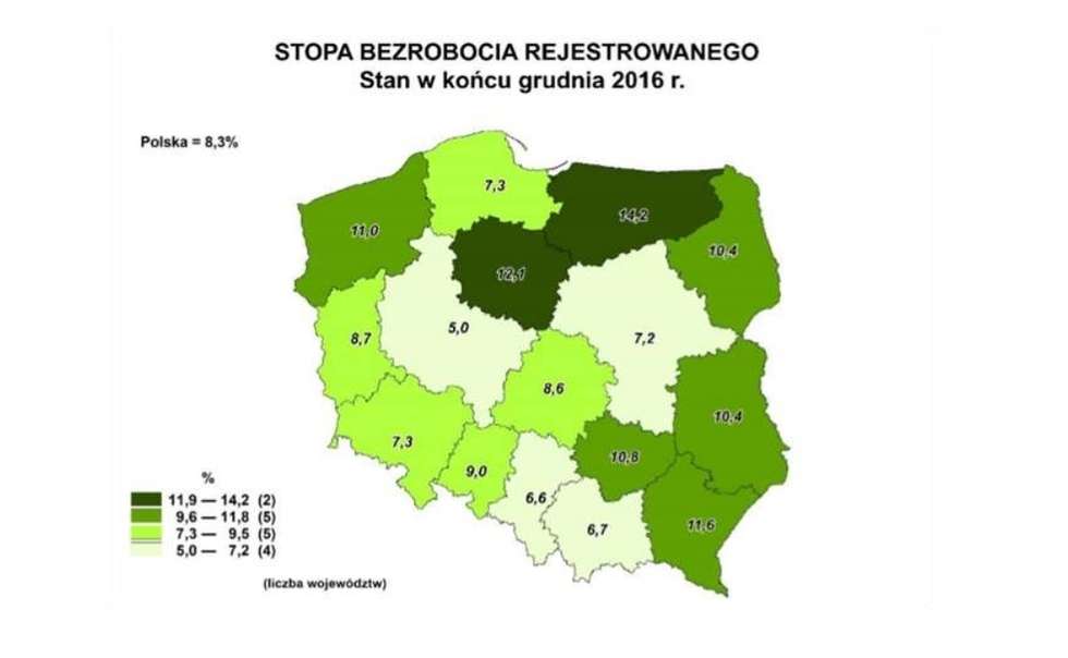  Lublin nadrabia zaległości. Najnowszy raport GUS o sytuacji w regionie (zdjęcie 8) - Autor: GUS