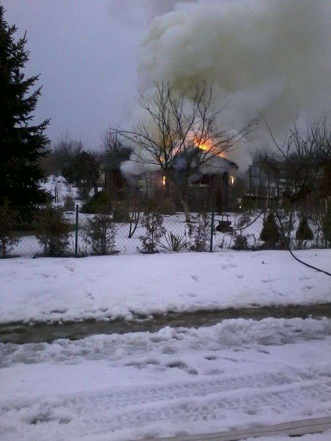 Pożar altanek w ROD Maki w Lublinie