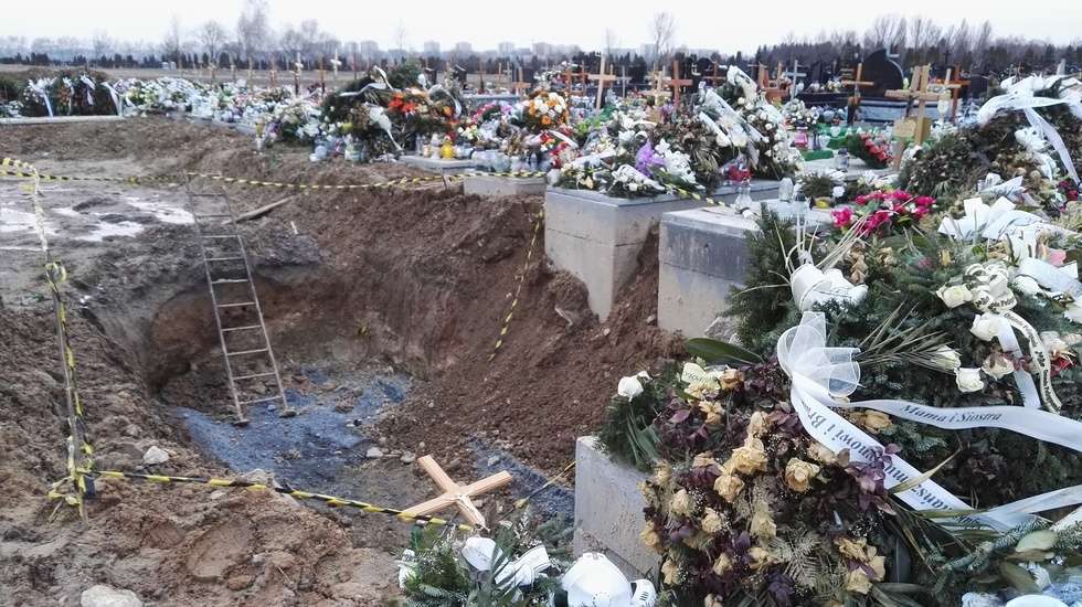  Cmentarz na Majdanku (zdjęcie 1) - Autor: orotanque / Alarm 24