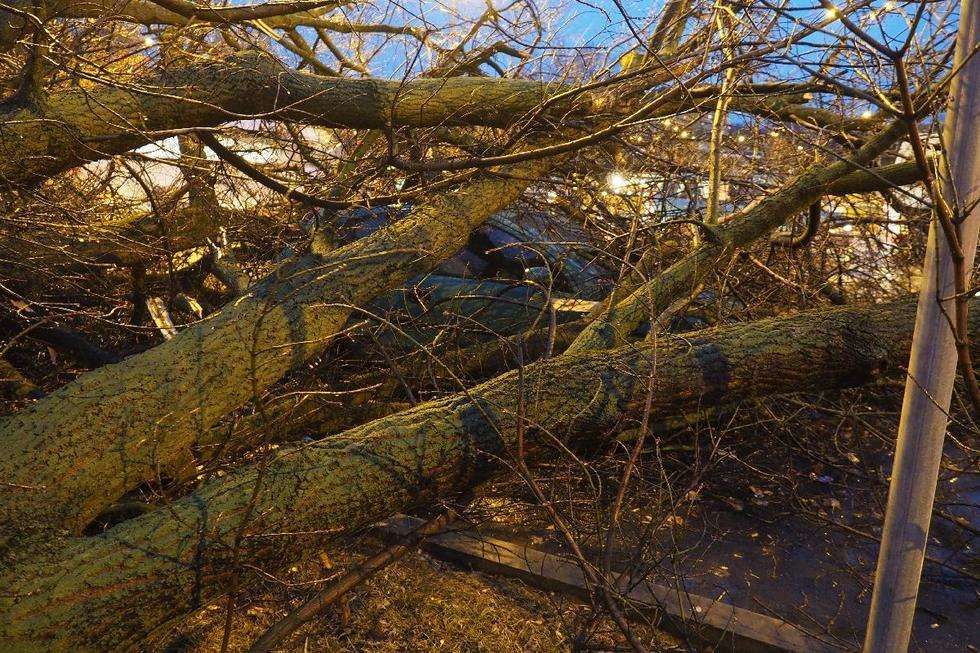  Wichura w Lublinie: drzewo przewróciło się na samochód (zdjęcie 17) - Autor: Maciej Kaczanowski