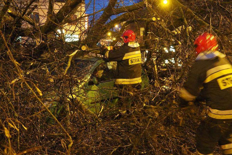  Wichura w Lublinie: drzewo przewróciło się na samochód (zdjęcie 5) - Autor: Maciej Kaczanowski