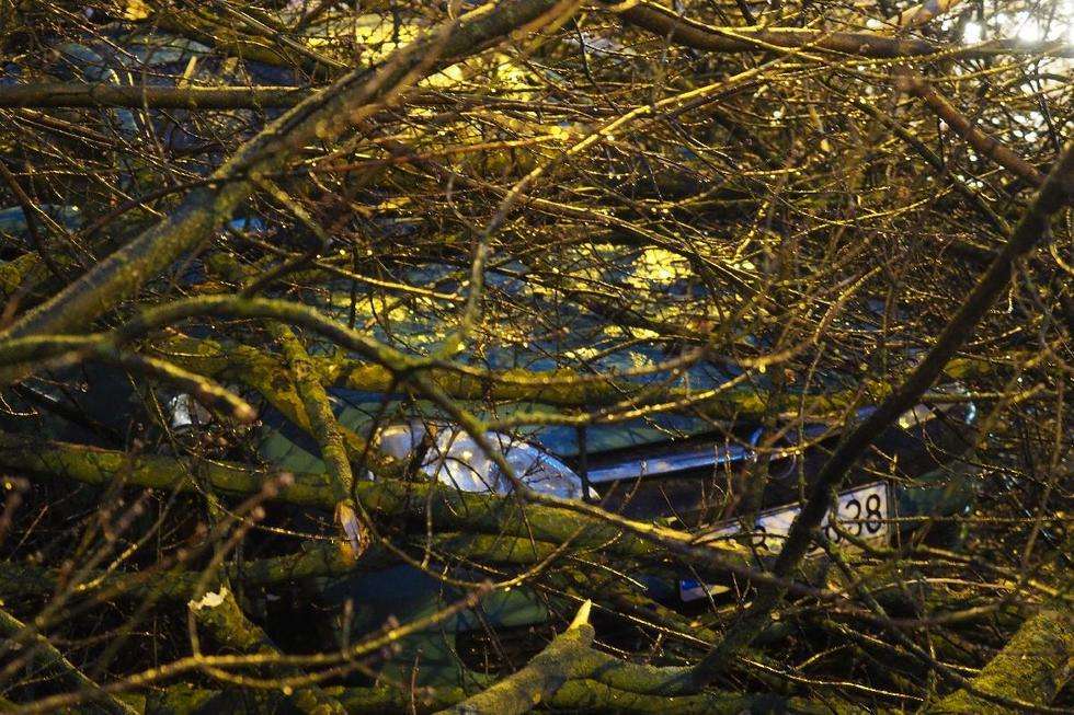  Wichura w Lublinie: drzewo przewróciło się na samochód (zdjęcie 14) - Autor: Maciej Kaczanowski
