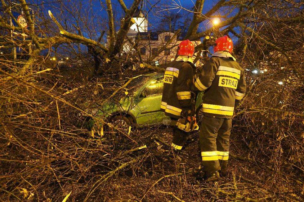  Wichura w Lublinie: drzewo przewróciło się na samochód (zdjęcie 19) - Autor: Maciej Kaczanowski
