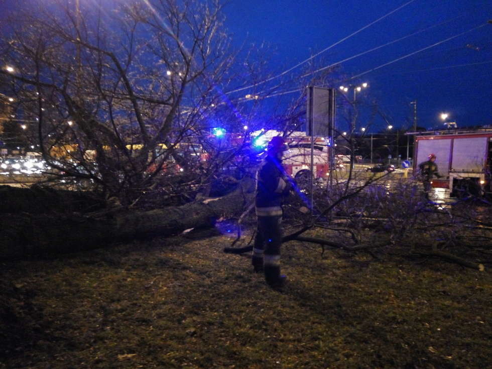  Wichura w Lublinie: drzewo przewróciło się na samochód (zdjęcie 22) - Autor: Maciej Kaczanowski