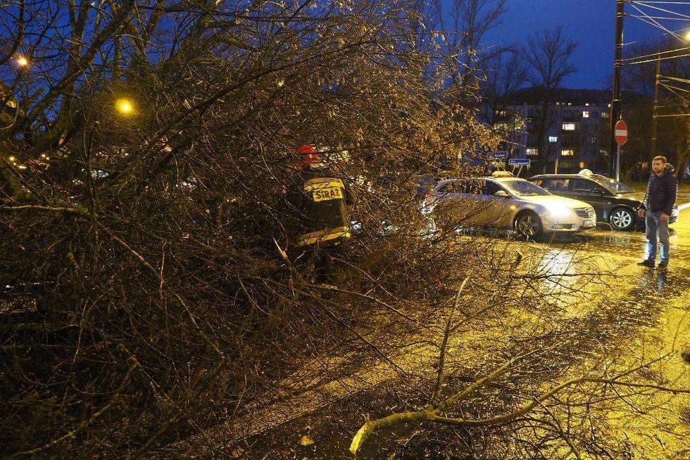  Wichura w Lublinie: drzewo przewróciło się na samochód (zdjęcie 13) - Autor: Maciej Kaczanowski