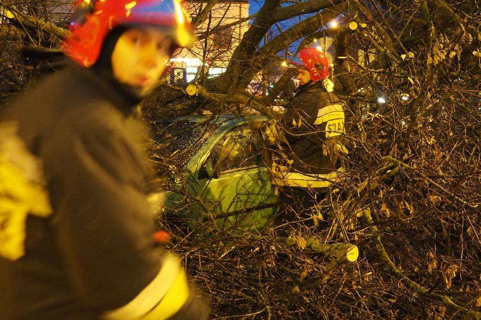  Wichura w Lublinie: drzewo przewróciło się na samochód (zdjęcie 7) - Autor: Maciej Kaczanowski
