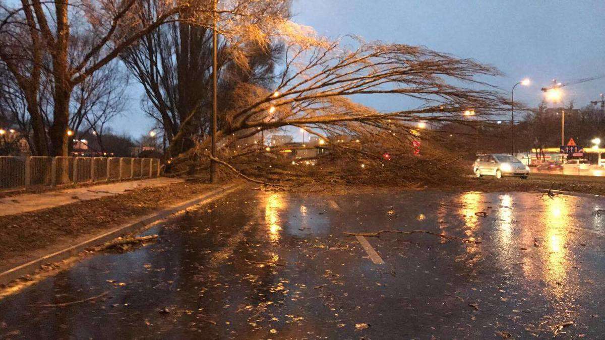 Wichura w Lublinie: drzewo przewróciło się na samochód