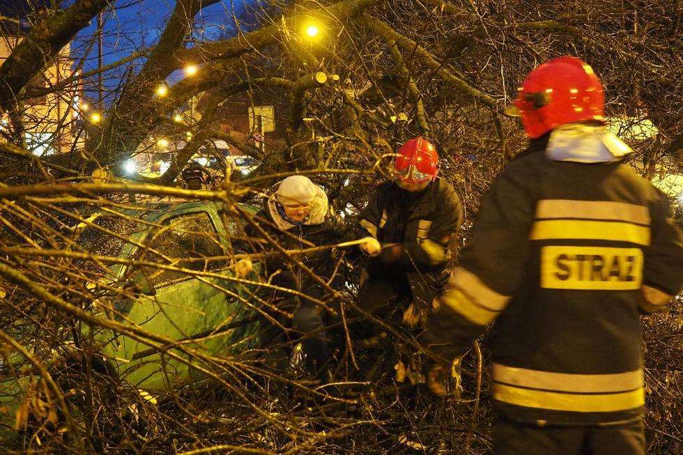  Wichura w Lublinie: drzewo przewróciło się na samochód (zdjęcie 1) - Autor: Maciej Kaczanowski