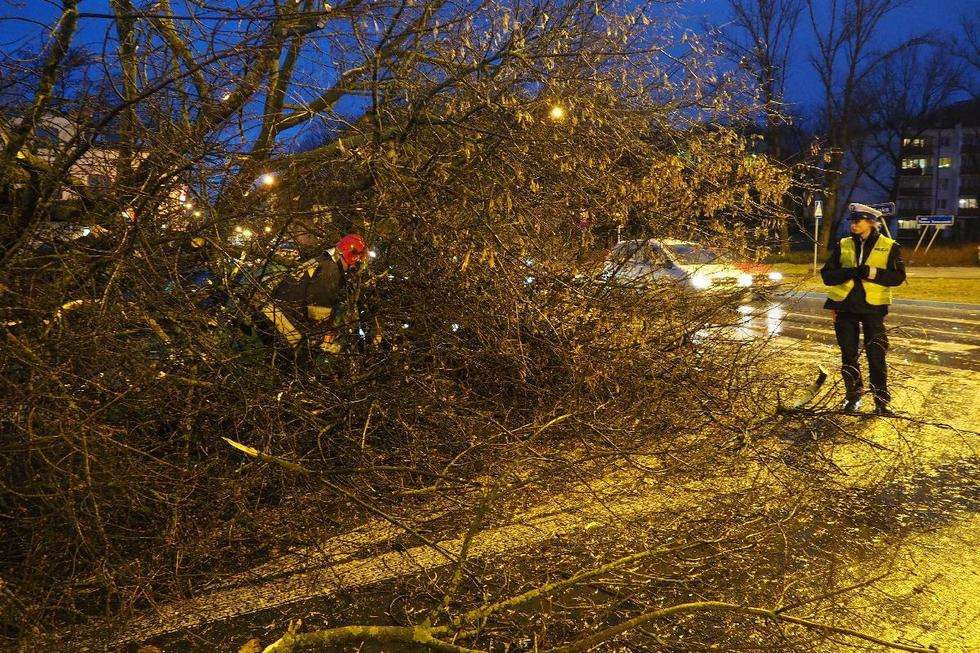  Wichura w Lublinie: drzewo przewróciło się na samochód (zdjęcie 9) - Autor: Maciej Kaczanowski