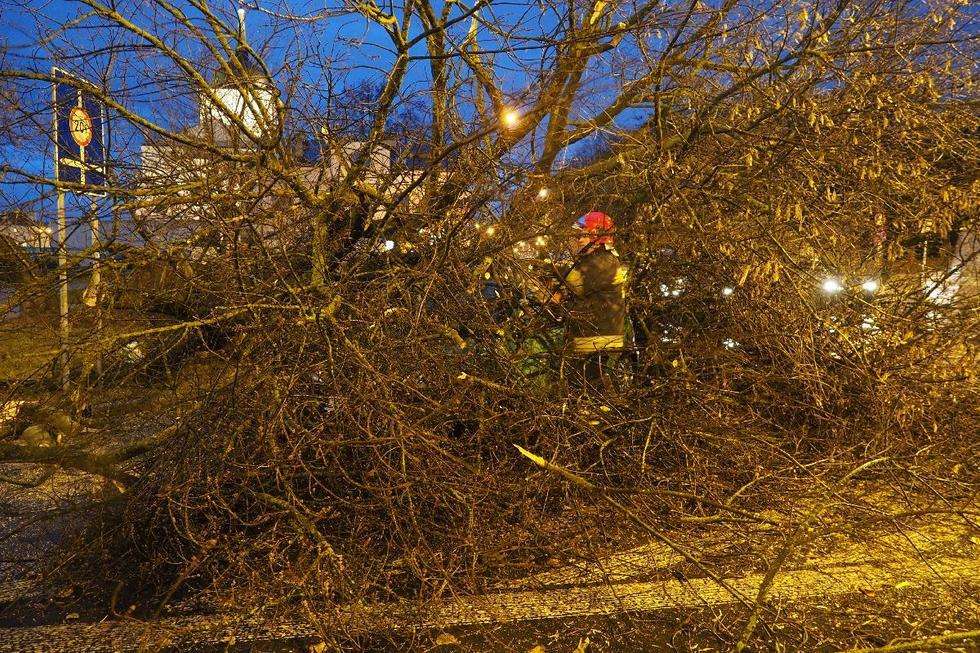  Wichura w Lublinie: drzewo przewróciło się na samochód (zdjęcie 11) - Autor: Maciej Kaczanowski