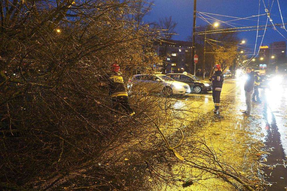  Wichura w Lublinie: drzewo przewróciło się na samochód (zdjęcie 15) - Autor: Maciej Kaczanowski