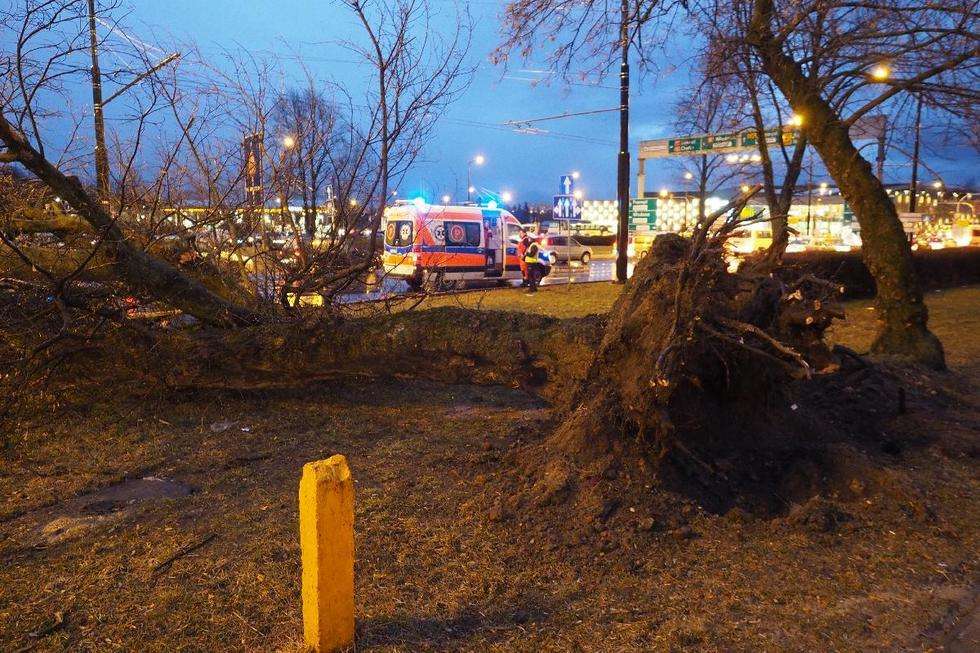  Wichura w Lublinie: drzewo przewróciło się na samochód (zdjęcie 20) - Autor: Maciej Kaczanowski
