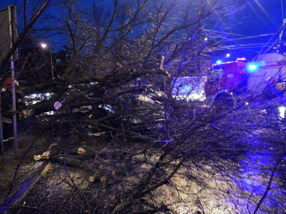  Wichura w Lublinie: drzewo przewróciło się na samochód (zdjęcie 23) - Autor: Maciej Kaczanowski