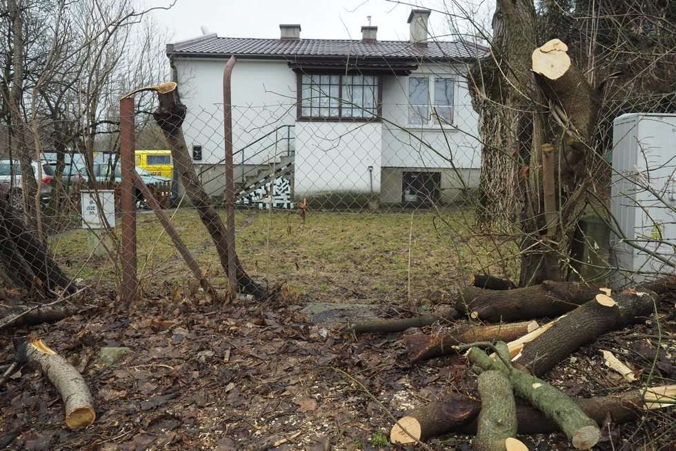  Wycinka drzew przy ul. Nałęczowskiej w Lublinie (zdjęcie 14) - Autor: Maciej Kaczanowski