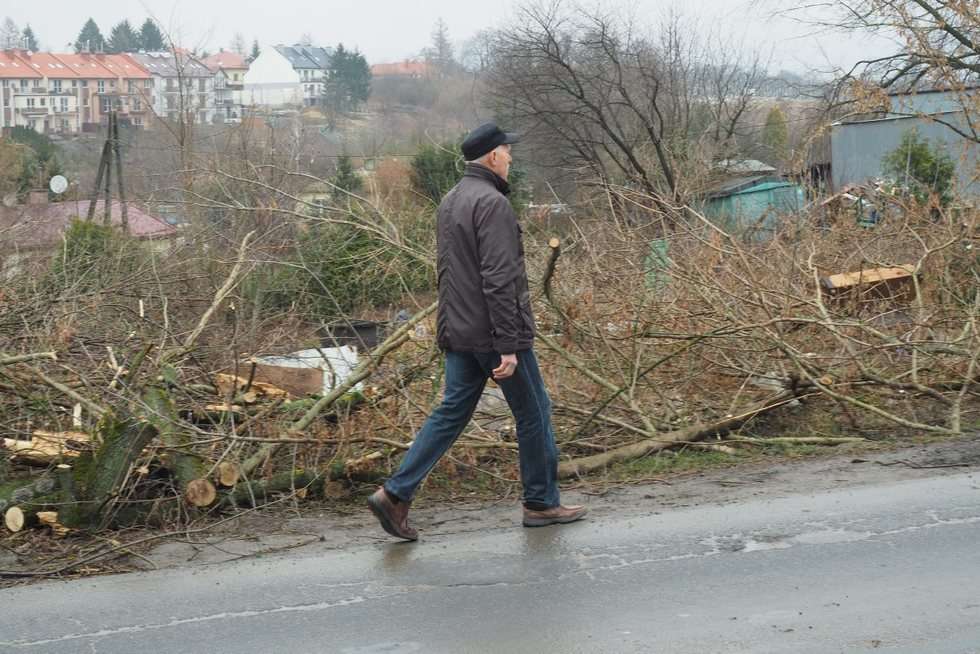  Wycinka drzew przy ul. Nałęczowskiej w Lublinie (zdjęcie 15) - Autor: Maciej Kaczanowski