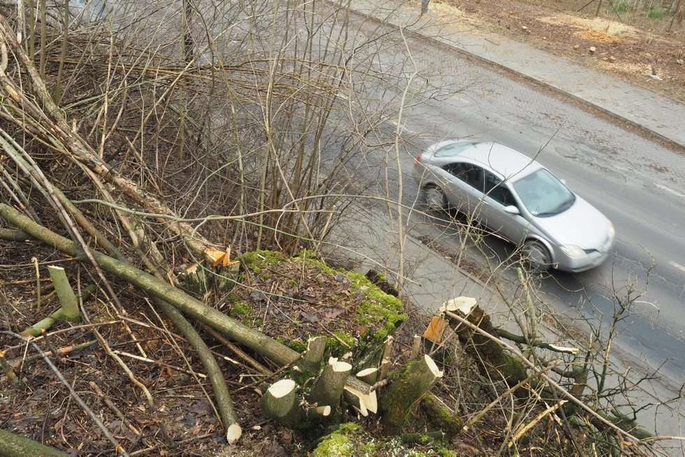  Wycinka drzew przy ul. Nałęczowskiej w Lublinie (zdjęcie 26) - Autor: Maciej Kaczanowski