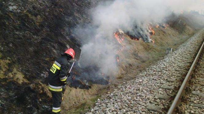 Pożar traw w Pliszczynie - Autor: OSP Niemce