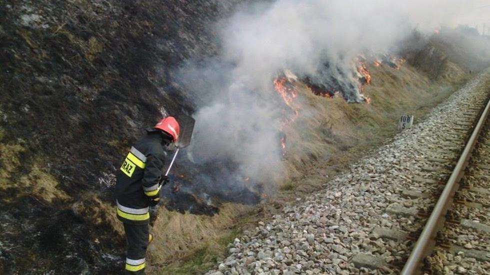  Pożar traw w Pliszczynie (zdjęcie 1) - Autor: OSP Niemce