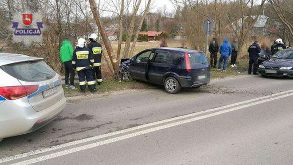  Wypadek w Nałęczowie: 18-latka uderzyła w drzewo  - Autor: Policja
